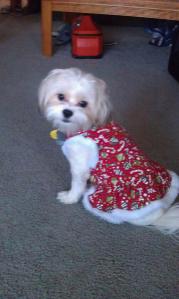 314520_10150385903048107_491284991_n